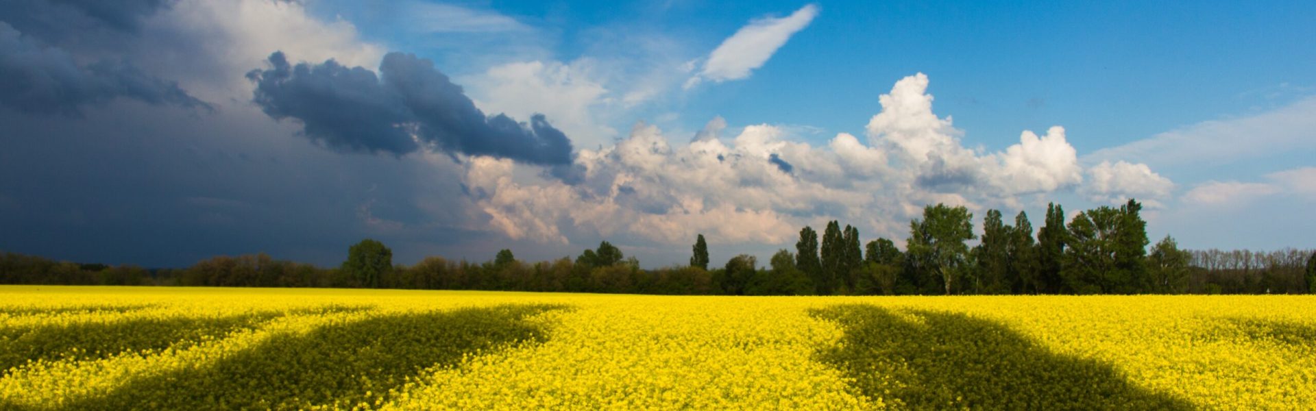 Слава Україні!